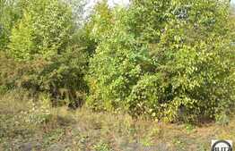 Teren de vanzare in zona Faget cu 946 mp si front de 32 m