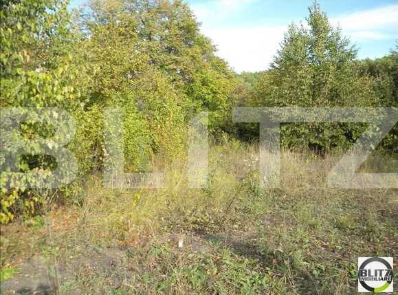 Teren de vânzare Făget - 22809TV | BLITZ Cluj-Napoca | Poza1