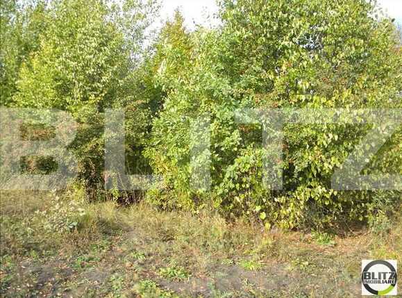Teren de vânzare Făget - 22809TV | BLITZ Cluj-Napoca | Poza3