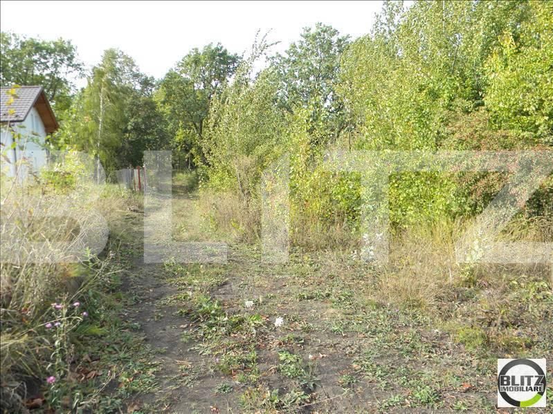 Teren de vânzare Făget - 22809TV | BLITZ Cluj-Napoca | Poza2