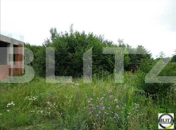 Teren de vânzare Făget - 22815TV | BLITZ Cluj-Napoca | Poza4