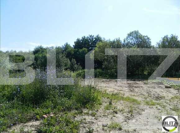 Teren de vânzare Făget - 22816TV | BLITZ Cluj-Napoca | Poza10