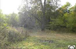 Zona plina de verdeata si aer curat. Acces usor.