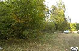 Zona plina de verdeata si aer curat. Acces usor.