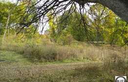 Zona plina de verdeata si aer curat. Acces usor.