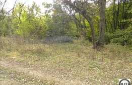 Zona plina de verdeata si aer curat. Acces usor.