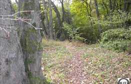 Zona plina de verdeata si aer curat. Acces usor.