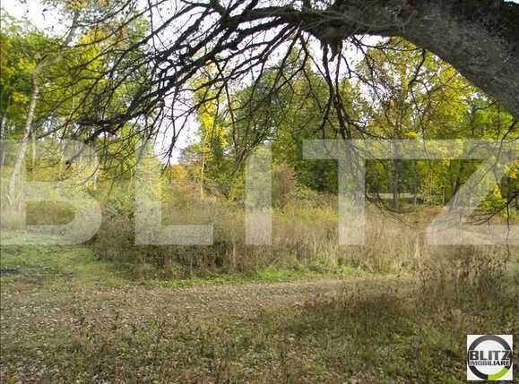 Teren de vânzare Făget - 22818TV | BLITZ Cluj-Napoca | Poza2