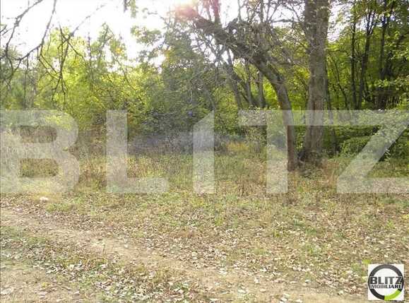 Teren de vânzare Făget - 22818TV | BLITZ Cluj-Napoca | Poza3