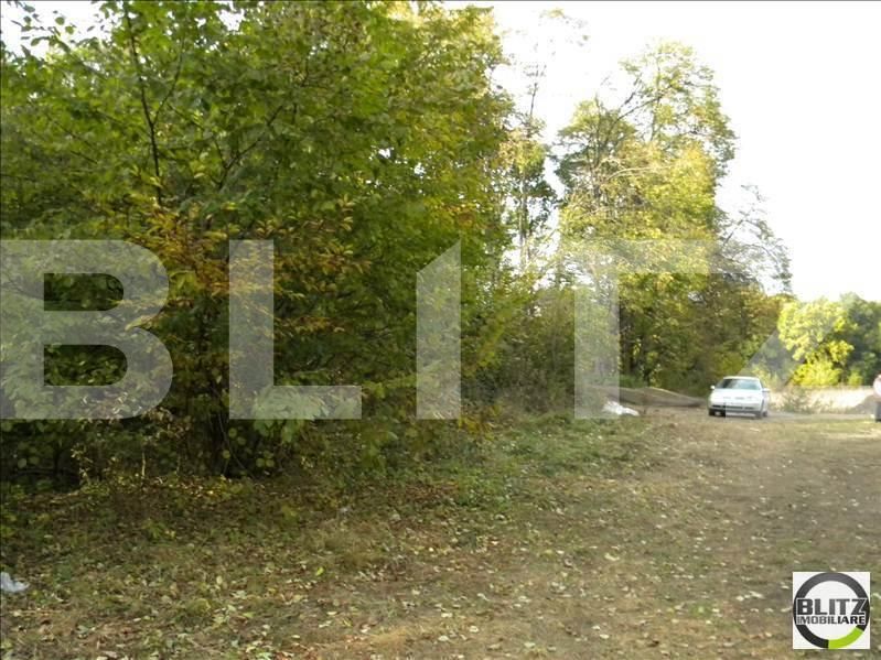 Teren de vânzare Făget - 22818TV | BLITZ Cluj-Napoca | Poza5