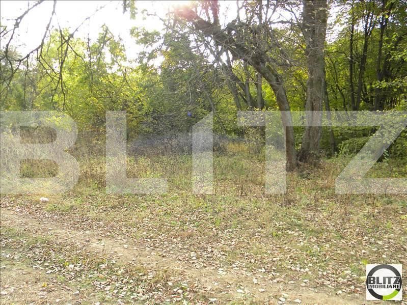 Teren de vânzare Făget - 22818TV | BLITZ Cluj-Napoca | Poza3