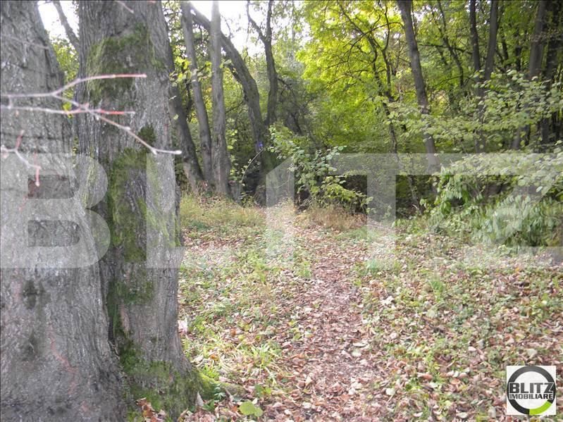 Teren de vânzare Făget - 22818TV | BLITZ Cluj-Napoca | Poza7