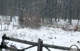 Vanzare teren cu 1060 mp si front de 15 ml, zona Faget