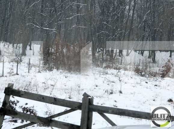 Teren de vânzare Făget - 22819TV | BLITZ Cluj-Napoca | Poza2