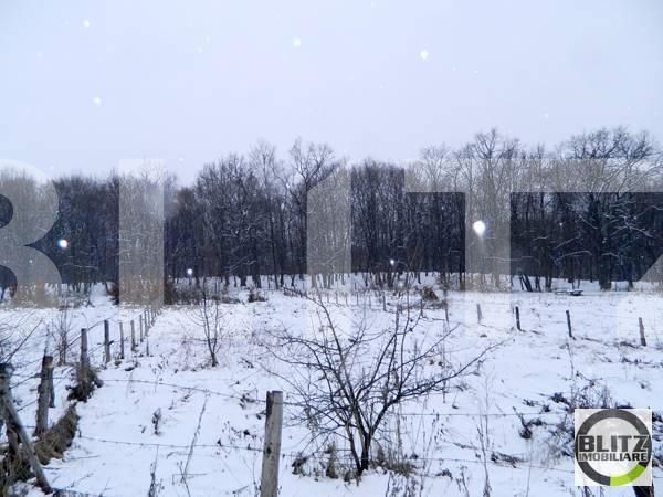 Teren de vânzare Făget - 22819TV | BLITZ Cluj-Napoca | Poza3