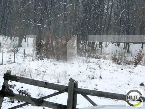 Teren de vânzare Făget - 22819TV | BLITZ Cluj-Napoca | Poza2