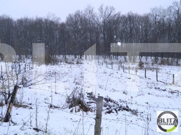 Teren de vânzare Făget - 22819TV | BLITZ Cluj-Napoca | Poza4