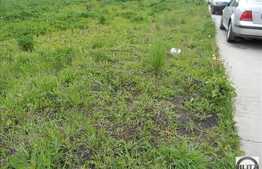 3000 mp teren de vanzare in Borhanci, front de 18 ml la strada principala