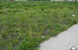 3000 mp teren de vanzare in Borhanci, front de 18 ml la strada principala