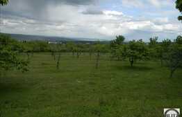 Vanzare teren 1225 mp, PUZ in lucru, utilitati in apropiere, zona linistita