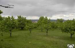 Vanzare teren 1225 mp, PUZ in lucru, utilitati in apropiere, zona linistita