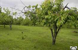 Vanzare teren 1225 mp, PUZ in lucru, utilitati in apropiere, zona linistita