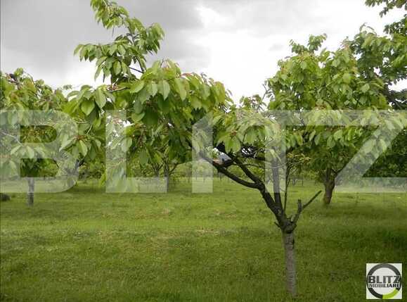 Teren de vânzare Făget - 22829TV | BLITZ Cluj-Napoca | Poza5