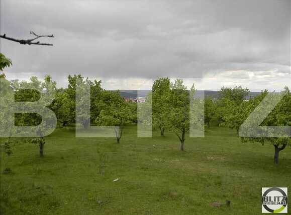 Teren de vânzare Făget - 22829TV | BLITZ Cluj-Napoca | Poza2
