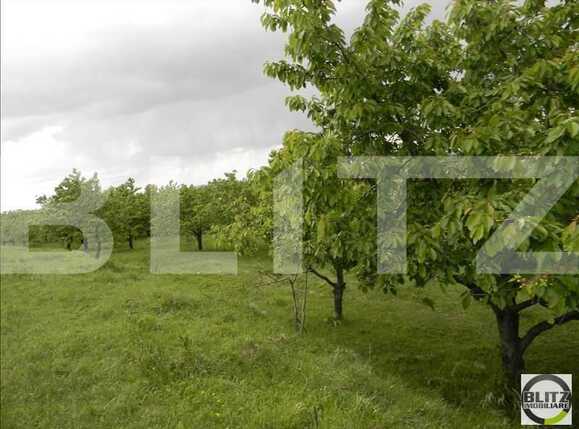 Teren de vânzare Făget - 22829TV | BLITZ Cluj-Napoca | Poza3