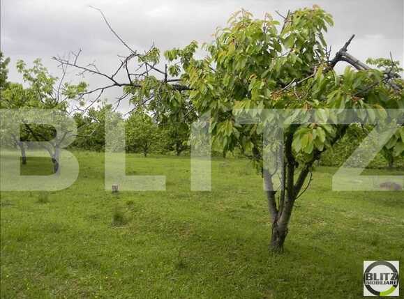 Teren de vânzare Făget - 22829TV | BLITZ Cluj-Napoca | Poza4