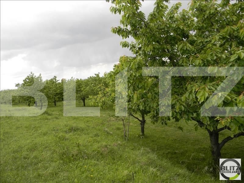 Teren de vânzare Făget - 22829TV | BLITZ Cluj-Napoca | Poza3