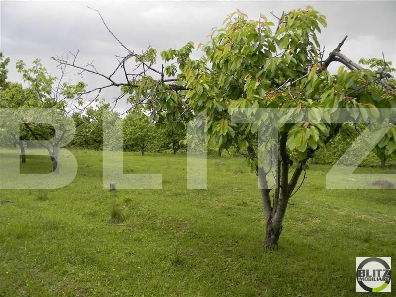 Teren de vânzare Făget - 22829TV | BLITZ Cluj-Napoca | Poza4