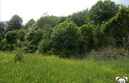 Vanzare teren 1922 mp, zona linistita de case si vile