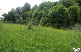 Vanzare teren 1922 mp, zona linistita de case si vile