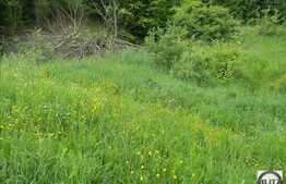 Vanzare teren 1922 mp, zona linistita de case si vile