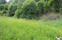 Vanzare teren 1922 mp, zona linistita de case si vile