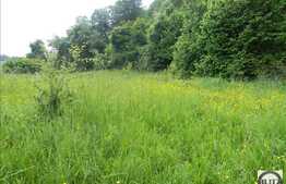 Vanzare teren 1922 mp, zona linistita de case si vile