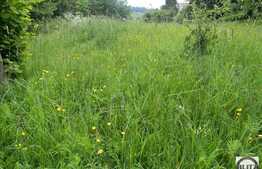 Vanzare teren 1922 mp, zona linistita de case si vile