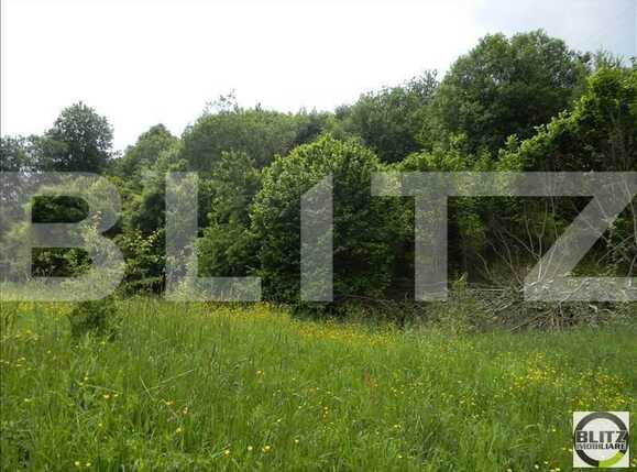 Teren de vânzare Făget - 22836TV | BLITZ Cluj-Napoca | Poza4