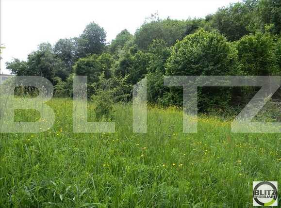 Teren de vânzare Făget - 22836TV | BLITZ Cluj-Napoca | Poza5