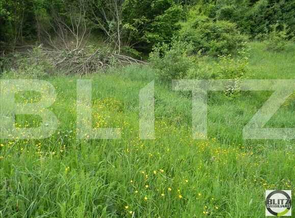 Teren de vânzare Făget - 22836TV | BLITZ Cluj-Napoca | Poza6