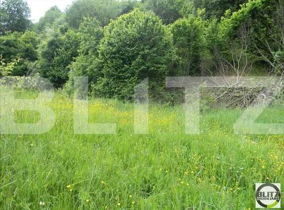 Teren de vânzare Făget - 22836TV | BLITZ Cluj-Napoca | Poza2