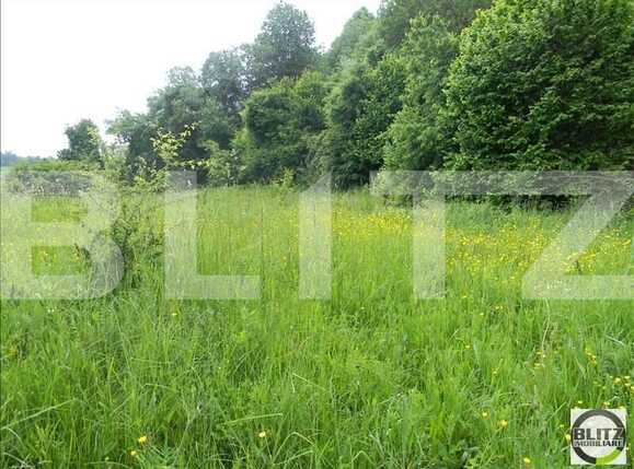 Teren de vânzare Făget - 22836TV | BLITZ Cluj-Napoca | Poza7