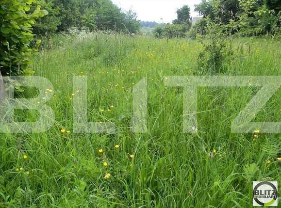 Teren de vânzare Făget - 22836TV | BLITZ Cluj-Napoca | Poza1