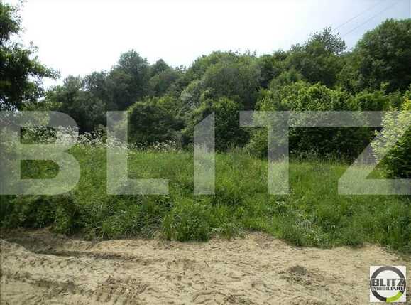 Teren de vânzare Făget - 22836TV | BLITZ Cluj-Napoca | Poza3