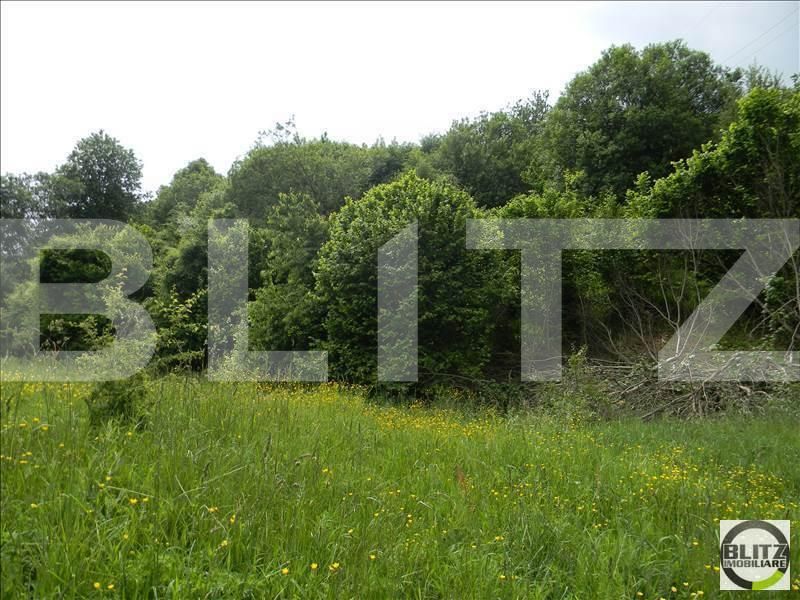 Teren de vânzare Făget - 22836TV | BLITZ Cluj-Napoca | Poza4