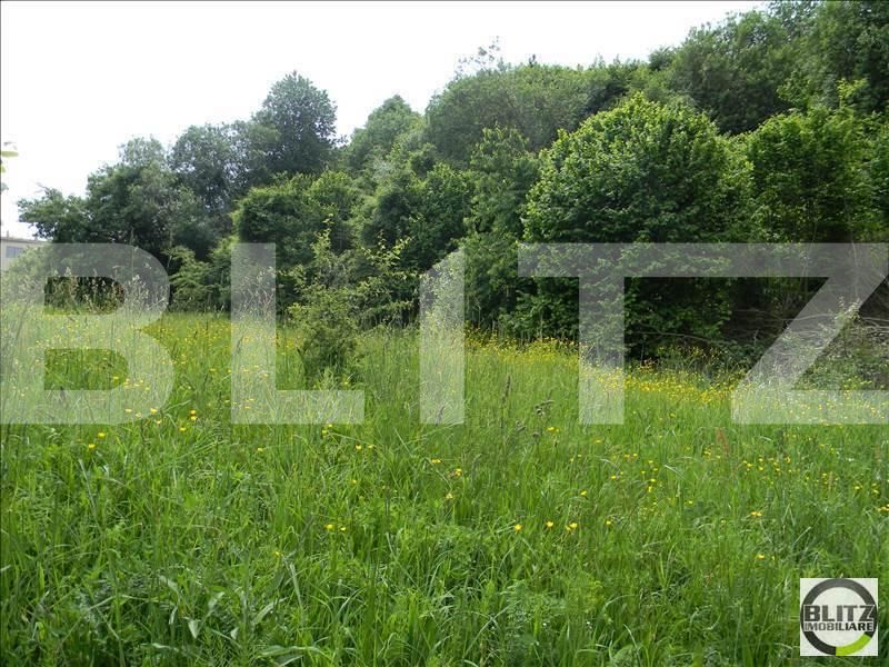 Teren de vânzare Făget - 22836TV | BLITZ Cluj-Napoca | Poza5