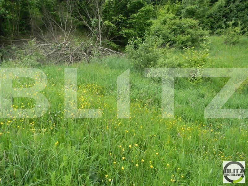 Teren de vânzare Făget - 22836TV | BLITZ Cluj-Napoca | Poza6