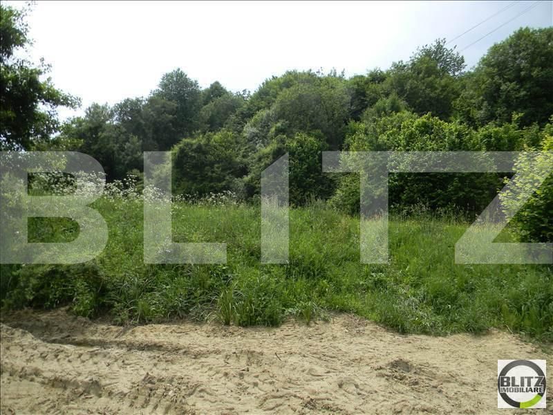 Teren de vânzare Făget - 22836TV | BLITZ Cluj-Napoca | Poza3