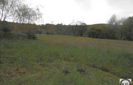 Teren de vanzare, 3960 mp, cu front de 30 ml, locatie excelenta!